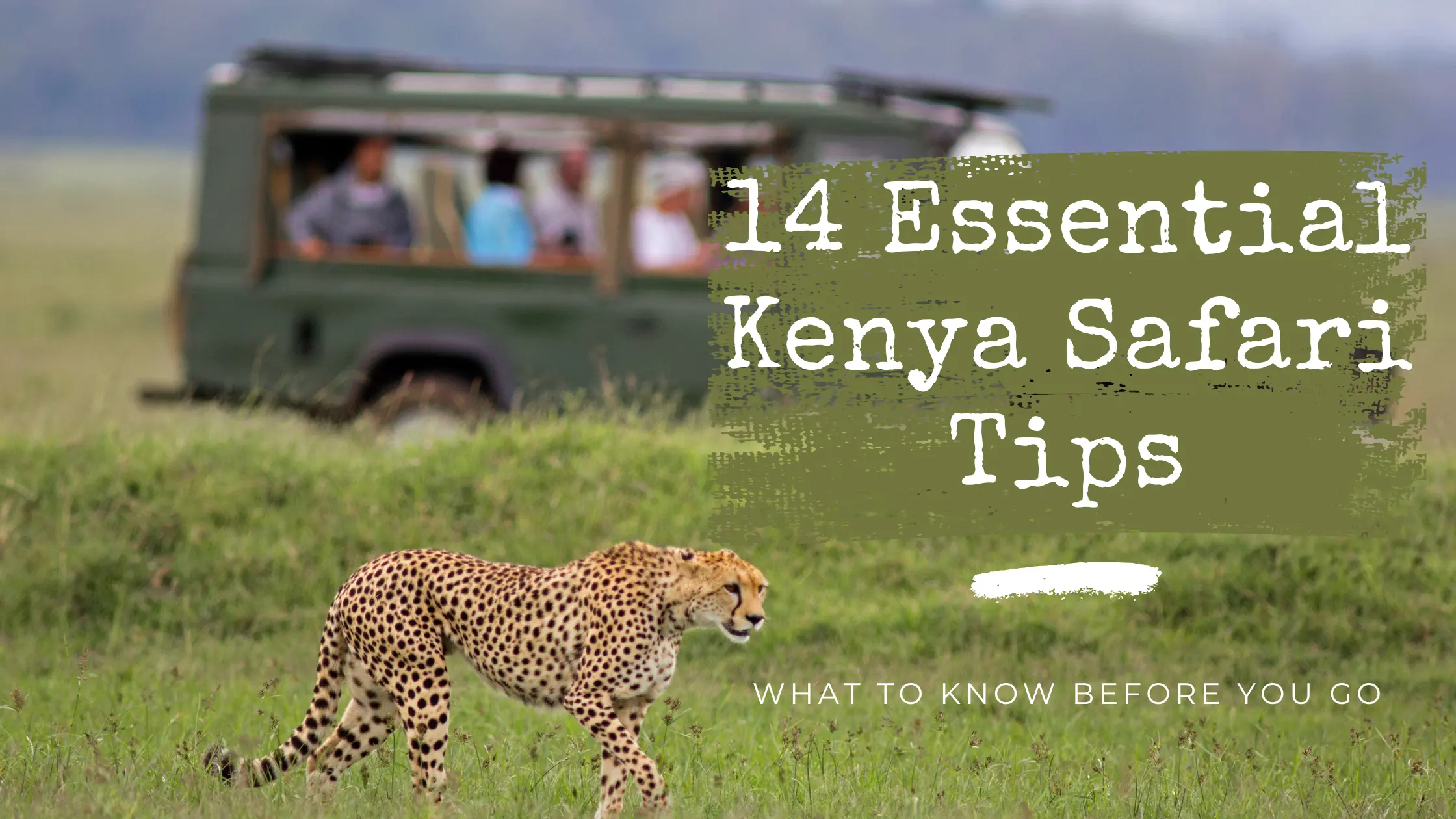 14 Essential Kenya Safari Tips