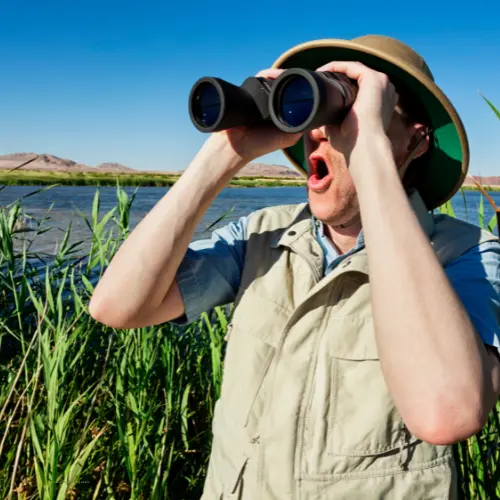 Bird watching & birding safaris